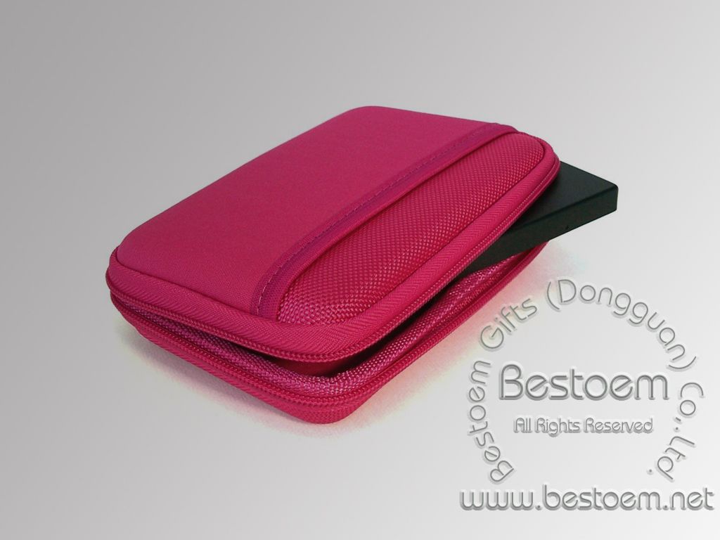 Drive Logic hard drive carry case side view