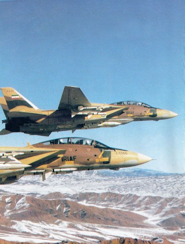 F-14.._zpsf2yenats.jpg