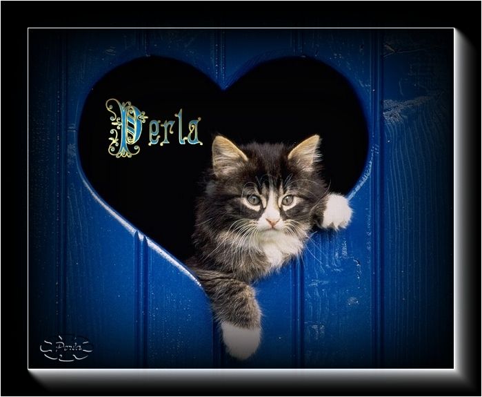  photo Imagen10perlacat_zps9joojc0h.jpg