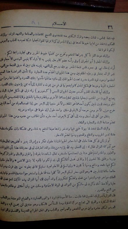 صورة