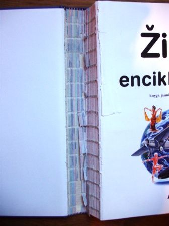 vartotojo įkelta nuotrauka