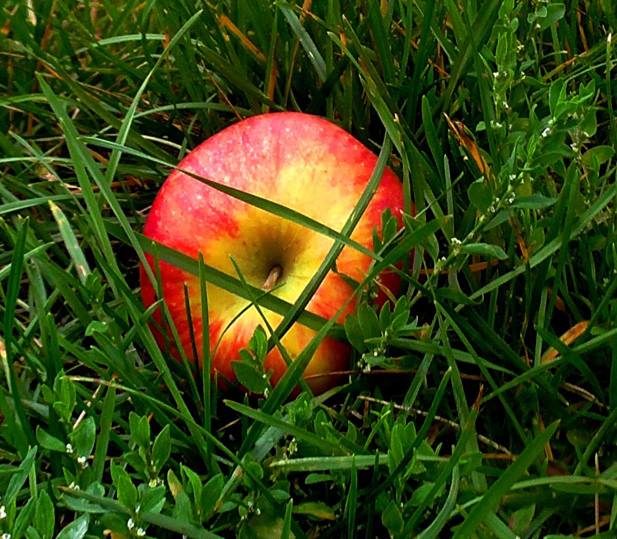 photo 1_zpsv3jvld0p.jpg