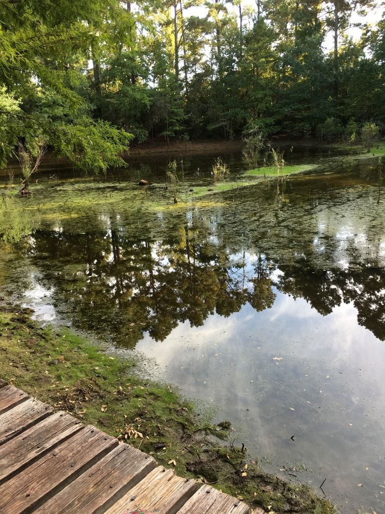 What did you do at your pond today? - Pond Boss Forum