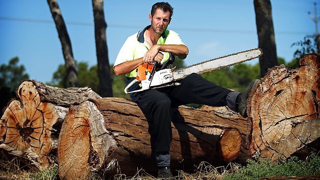 tree loppers photo tree loppers 3_zps8q410ryd.jpg