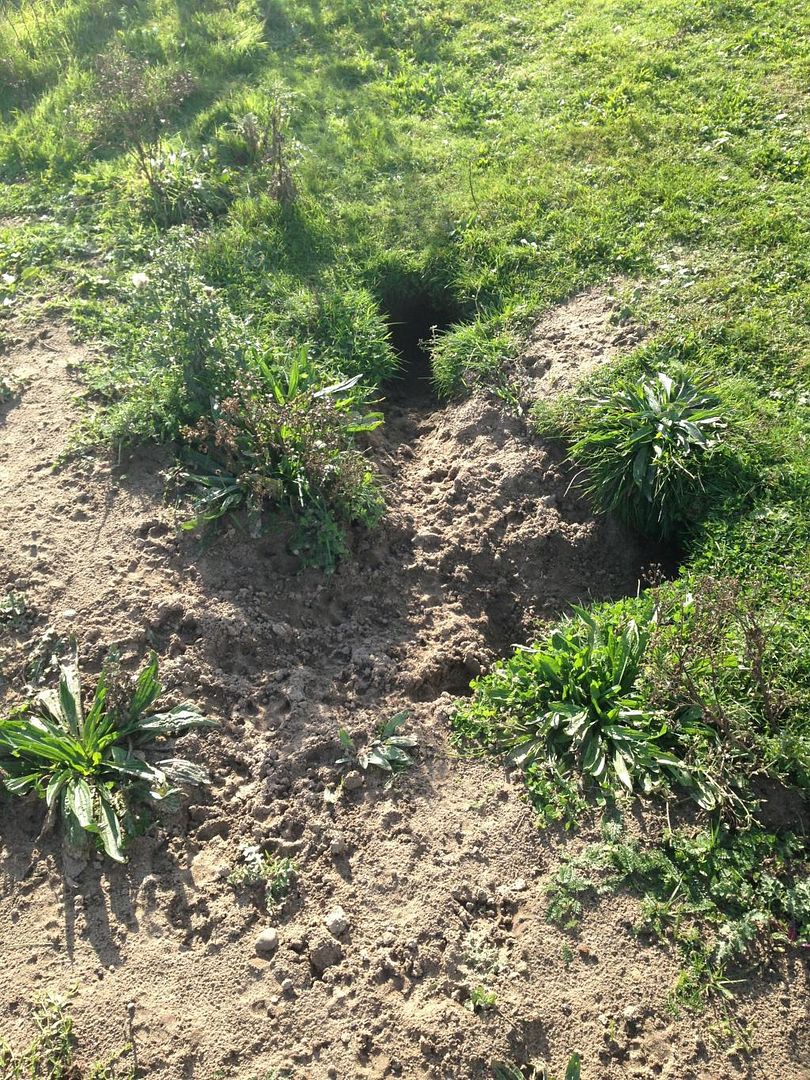 1C2F55A1-C122-4BDD-B3B7-374280A9287E_zps