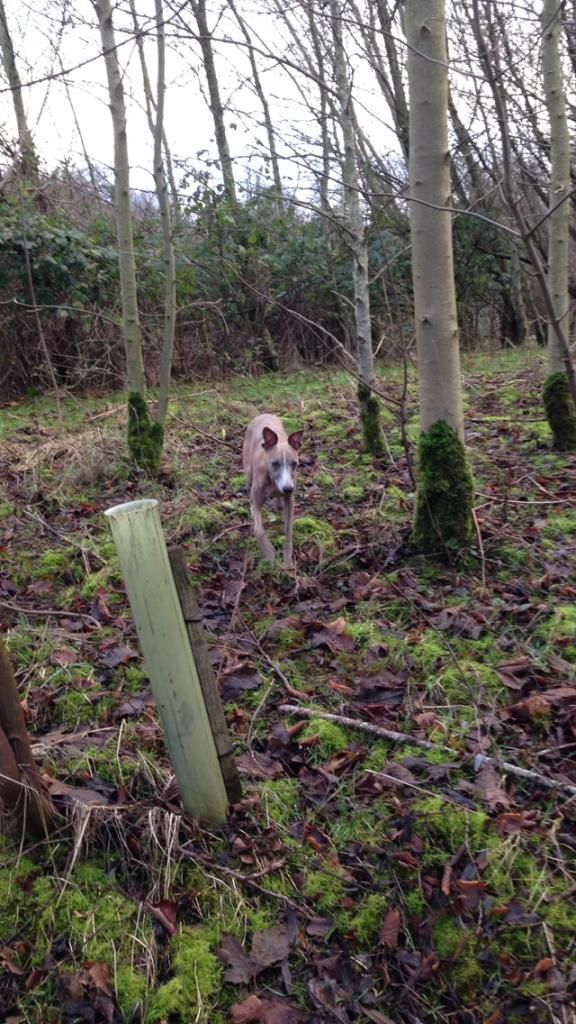 27B7F4B7-A7E4-46C2-9896-4CD186FB0623_zps