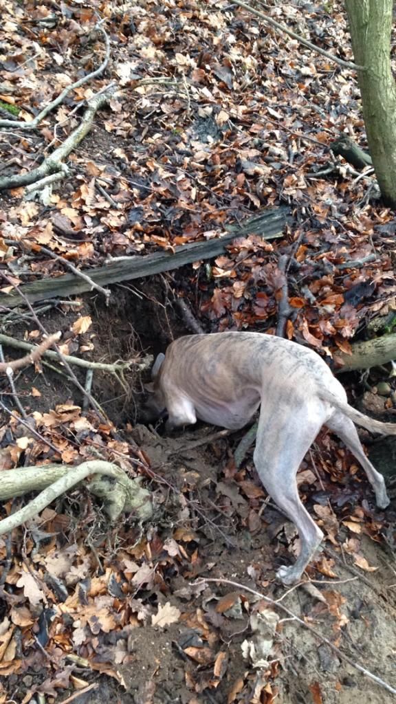 510036F9-BCA0-4B57-B7D0-9F97729532A7_zps