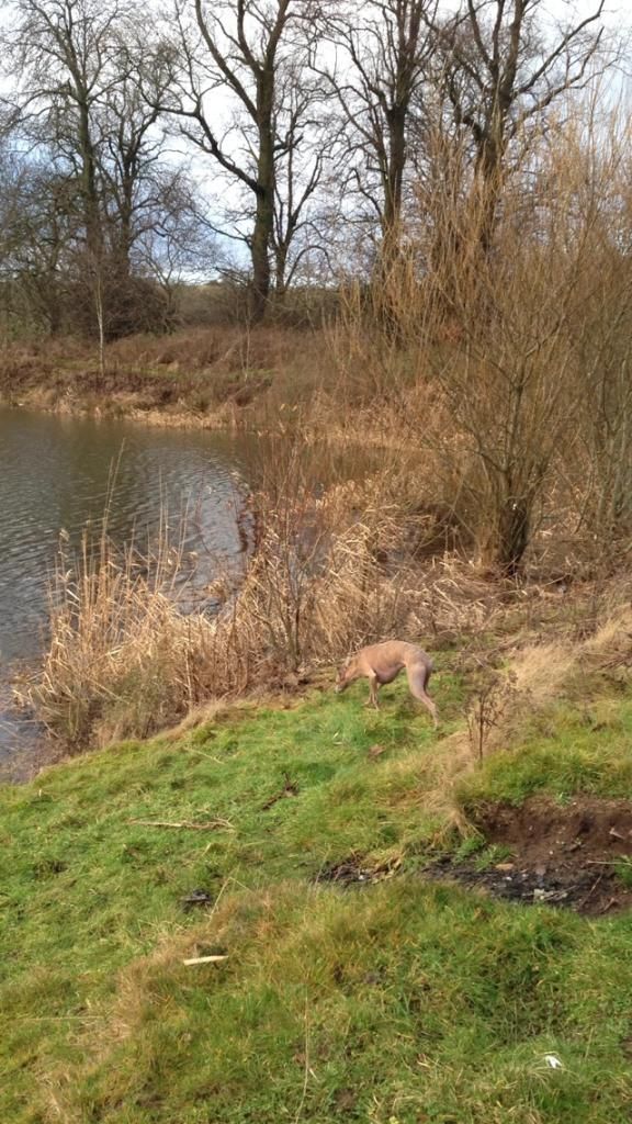 5FD5B8C9-8392-4C8E-86AF-24DFEAC06C13_zps