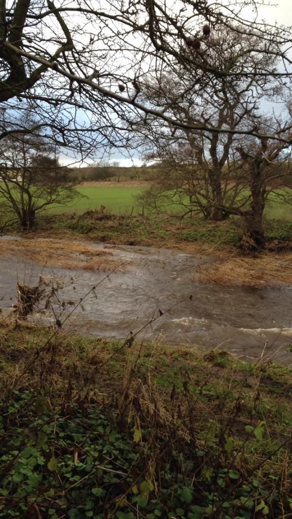 97B188AF-268E-464F-8791-3267F7A1E198_zps