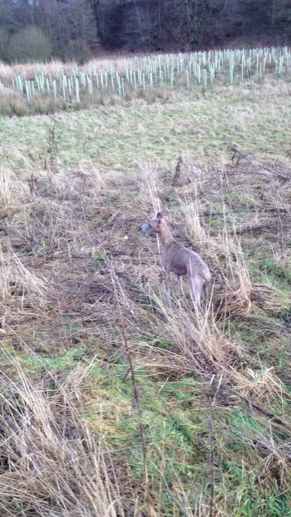 A063A0BA-EDF8-4696-AA9C-E56309D55A5E_zps