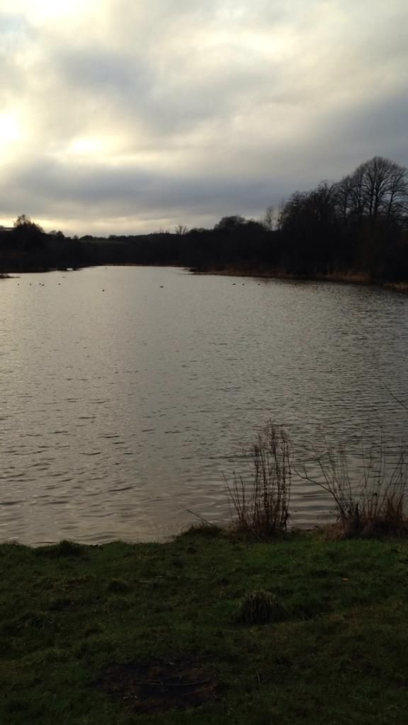 BF905ECC-59FE-4868-8F7E-C4F7383BAB69_zps