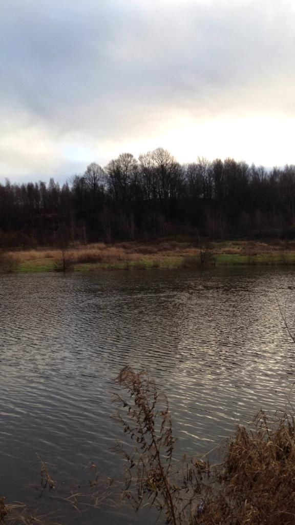 E7CEA719-2BB9-4688-8F1D-10DCDCF505D6_zps