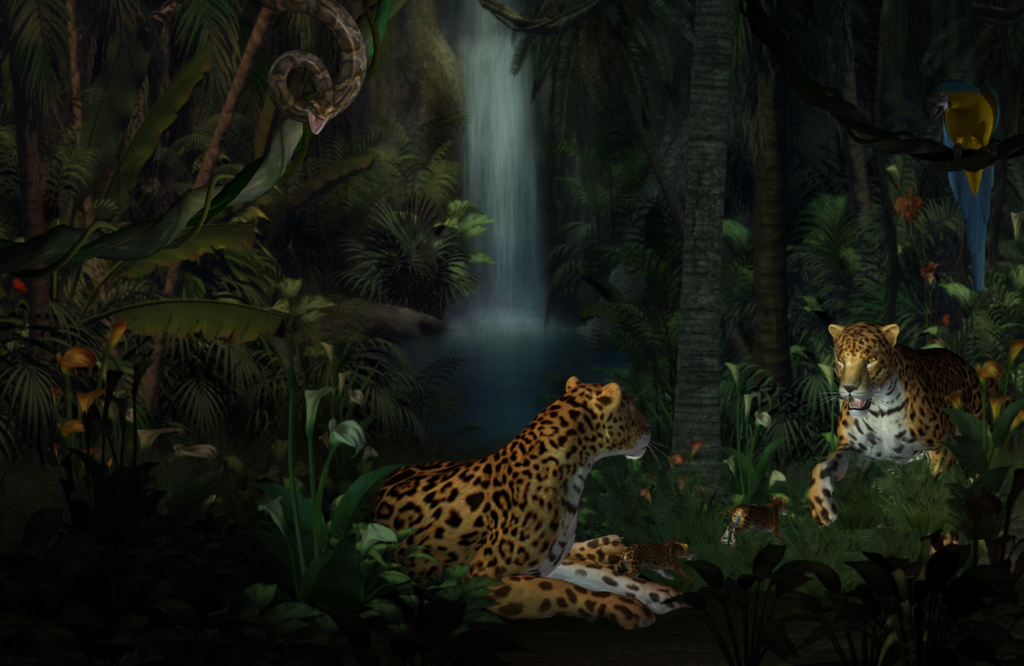 Leopards_zpsguazp89f.png