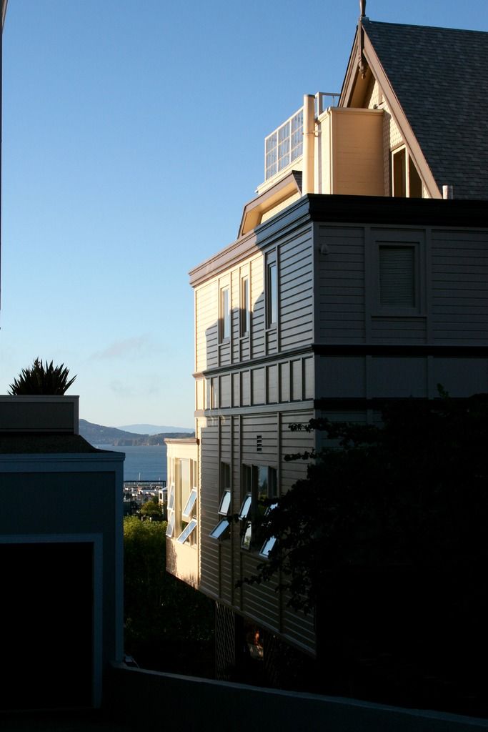 pacific heights houses