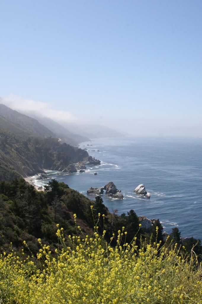big sur jagged coast