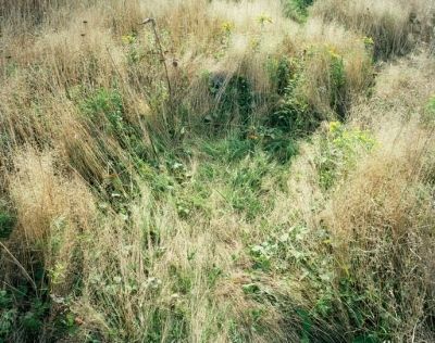 deer bed 7