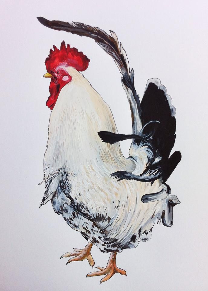 Irene Akio Illustration owl painting
