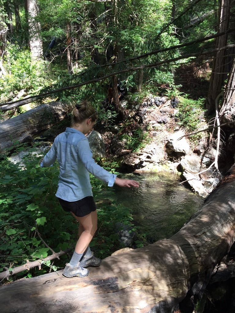 hike log crossing