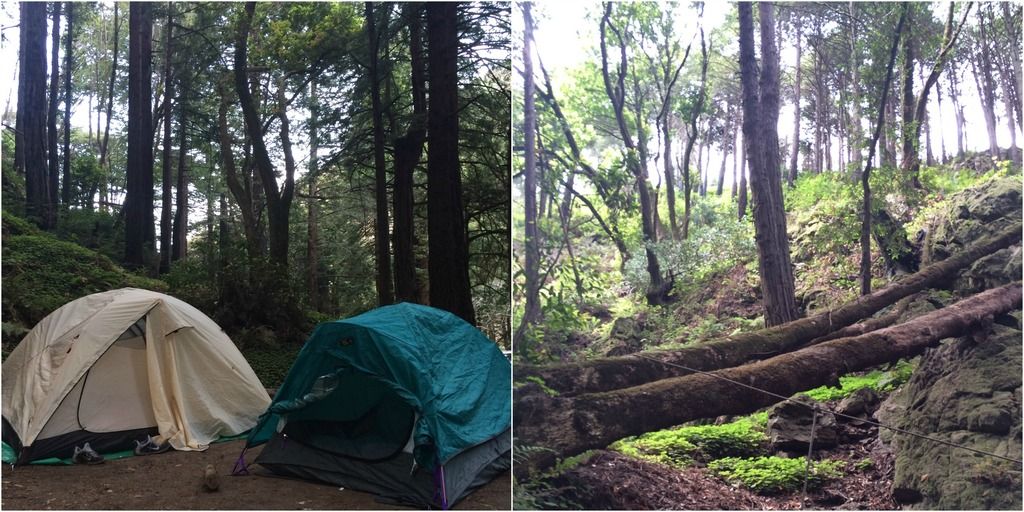 limekiln state park tent camping
