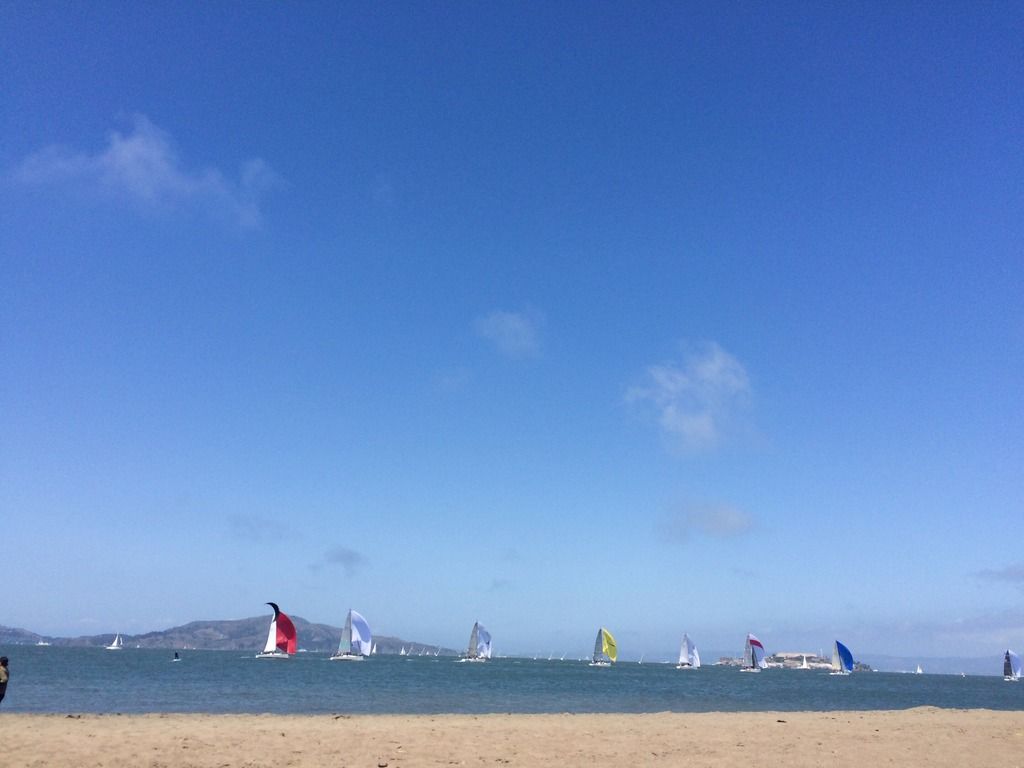 sail boats in bay