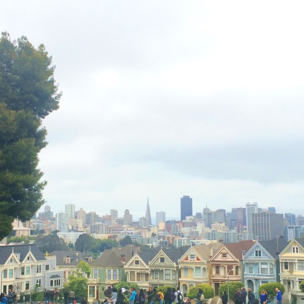 painted ladies