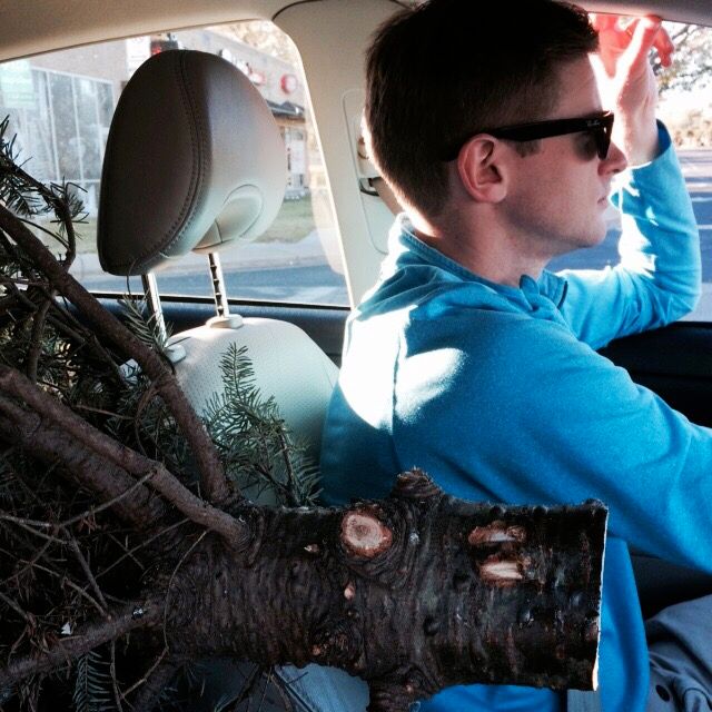 christmas tree in car