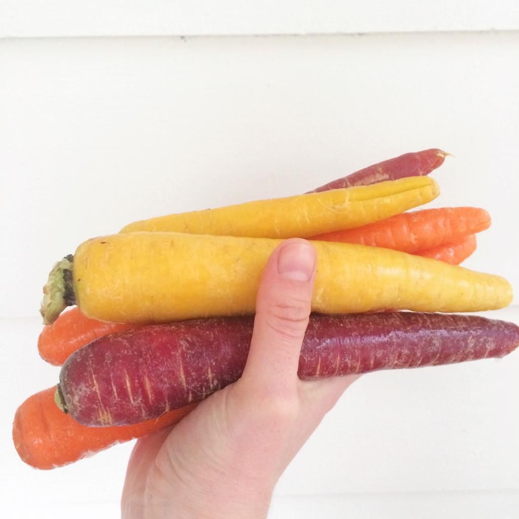 multi color carrots
