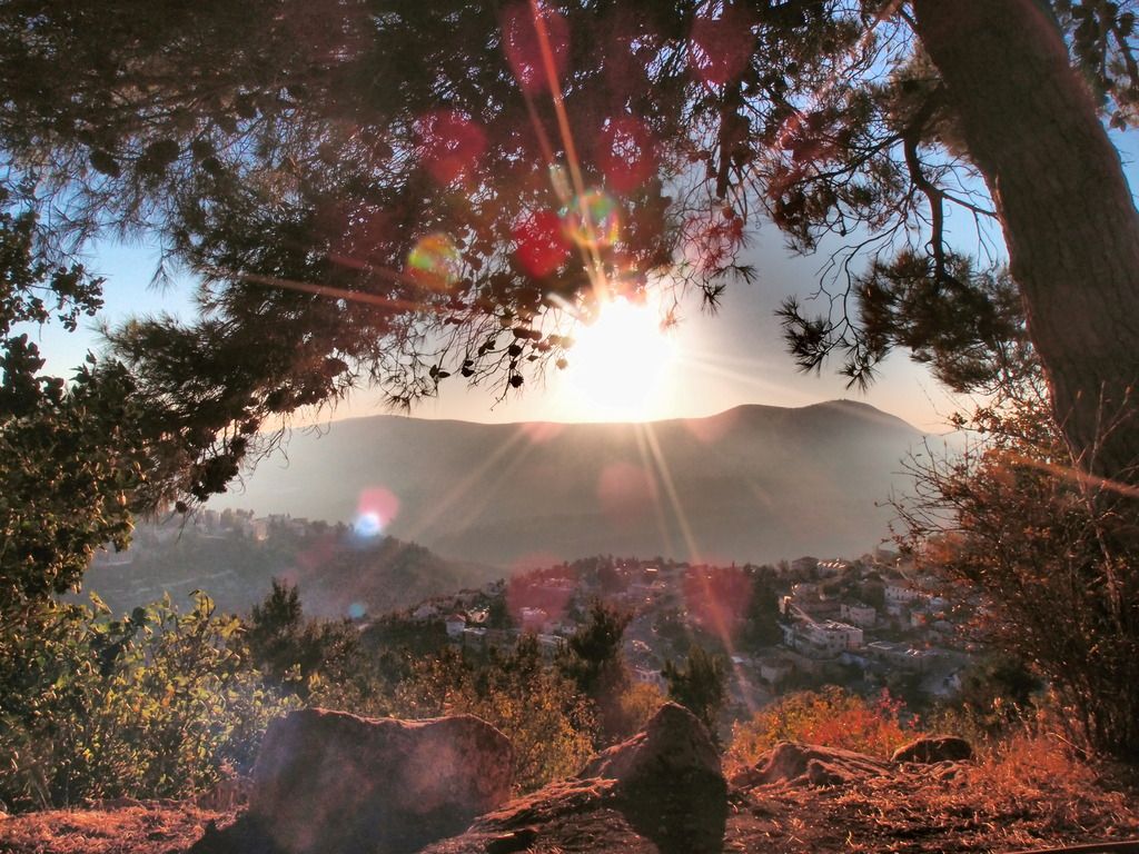 nomo_ fotovivo