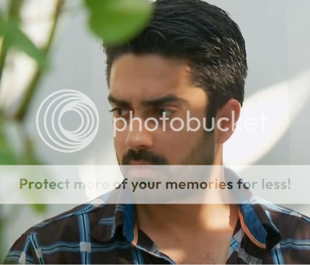 photo 31_zps4krs2shy.jpg